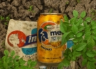 LECCE : GIORNATA MONDIALE DELL'AMBIENTE