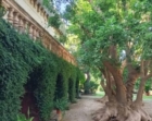 CAROVIGNO : CASTELLO : NUOVI ORARI