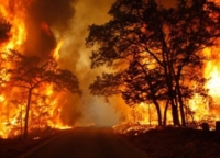 PUGLIA : LEGAMBIENTE SU SITUAZIONE INCENDI