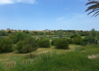 BRINDISI : PROGRAMMA DI RIGENERAZIONE URBANA