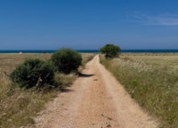 PUGLIA : UNA PASSEGGIATA SULLA COSTA PER CONOSCERE E PROTEGGERE