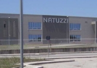MATERA : NATUZZI : COLPO DURISSIMO