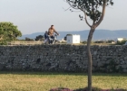 MONOPOLI : CICLOVIA COSTA DEI TRULLI : INIZIO LAVORI