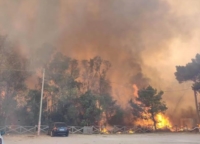 PUGLIA : LEGAMBIENTE SU EMERGENZA  INCENDI