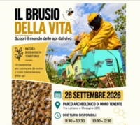 MURO TENENTE : IL BRUSIO DELLA VITA