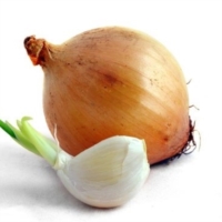 AGLIO E CIPOLLA : PROPRIETA' BENEFICHE