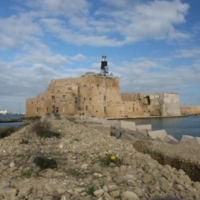 AMARE FORTE A MARE : CONVEGNO