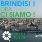 POSIZIONAMENTO GAZEBO PER DIFFERENZIATA