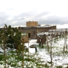 COPERTINO : Auguri Sindaco Sandrina Schito