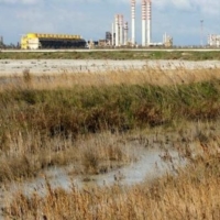 Legambiente Brindisi:controdeduzioni a Sogesid su bonifiche di Micorosa