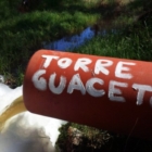     Torre Guaceto - Attivata dalla Regione Puglia l'Inchiesta Pubblica per lo scarico temporaneo