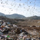 PD Brindisi: Sulla Discarica di Formica