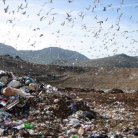 PD Brindisi: Sulla Discarica di Formica