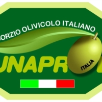 Oli Vegetali  Settimana n.9 dal 23 febbraio al 1� marzo 2015        Mercato all�origine � Trend settimanale