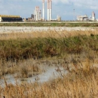 APPALTO MICOROSA: A RISCHIO LA REALIZZAZIONE.