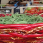 BIODIVERSO :  Biodiversità delle specie orticole della puglia