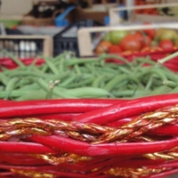 BIODIVERSO Biodiversit� delle specie orticole della puglia