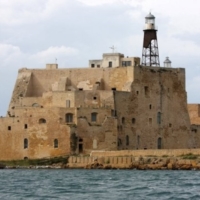 Amare Forte Amare : no PON