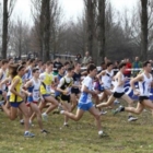 Campionati Nazionali Studenteschi : medaglia d'oro per un'alunna di Latiano