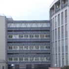 Istituito il centro comunale di “Educazione alimentare e benessere alla salute”