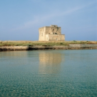 Brindisi: anche l'oasi wwf di Torre Guaceto tra le localit� inquinate di 