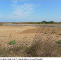 LEGAMBIENTE BRINDISI :  spiagge e fondali puliti 2015
