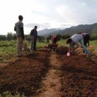 GAL TERRA DEI MESSAPI : l�agricoltura sociale.