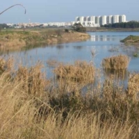 Creature Emotive  Percorso performativo di donne Parco del Cillarese � Brindisi