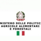 XYLELLA, MIPAAF: FIRMATO DECRETO PER ATTUAZIONE