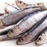 Dieta: le 10 regole per curarsi a tavola con l'immunonutrizione