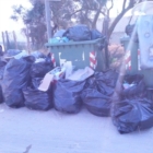 Cobas su  Ecologica Pugliese