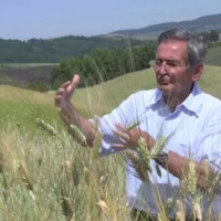 SALVATORE CECCARELLI ALLA 