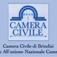 CAMERA CIVILE DI BRINDISI CONVERSAZIONI SUL PROCESSO CIVILE 