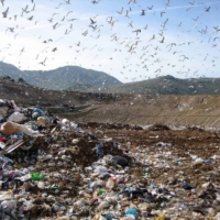 RIFIUTI NEL BRINDISINO: L'EMERGENZA ARRIVA IN SENATO