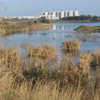 LEGAMBIENTE SU baratto amministrativo