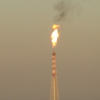 BBC: Le Torce sfiammano mentre attendiamo da 4 mesi il monotematico in consiglio comunale