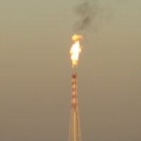 LEGAMBIENTE SU SFIAMMATE