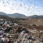 Perplessità sull'Ordinanza relativa al rifiuto in discarica Formica