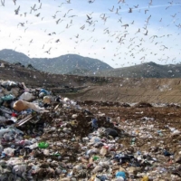 COBAS : sit in e Ordinanza Regionale