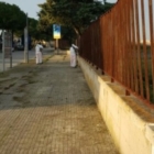 ESTIRPAZIONE ERBACCE VIE CITTADINE