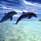 Convegno con la GESTALT - Venerdì 18/3/2016