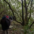 ALBO REGIONALE IMPRESE BOSCHIVE