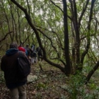 ALBO REGIONALE IMPRESE BOSCHIVE