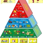Nuovi orizzonti della dieta mediterranea