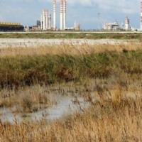  QUAL�E� IL RUOLO DEL CONSORZIO ASI  NELLA BONIFICA DELL'AREA S.I.N DI BRINDISI?