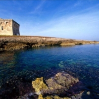  Giornata delle Oasi 2016 - WWF Brindisi  	