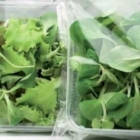 CORSO EUROPEO SU QUALITÀ E SICUREZZA DEI PRODOTTI DI IV GAMMA