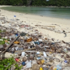 DECRETO EMILIANO RACCOLTA RIFIUTI IN AREE TURISTICHE