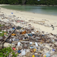 DECRETO EMILIANO RACCOLTA RIFIUTI IN AREE TURISTICHE