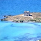 Pulizia dei fondali e delle spiaggie di Torre Guaceto 